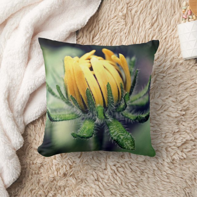 Black Eyed Susan Awakening   Cushion (Blanket)