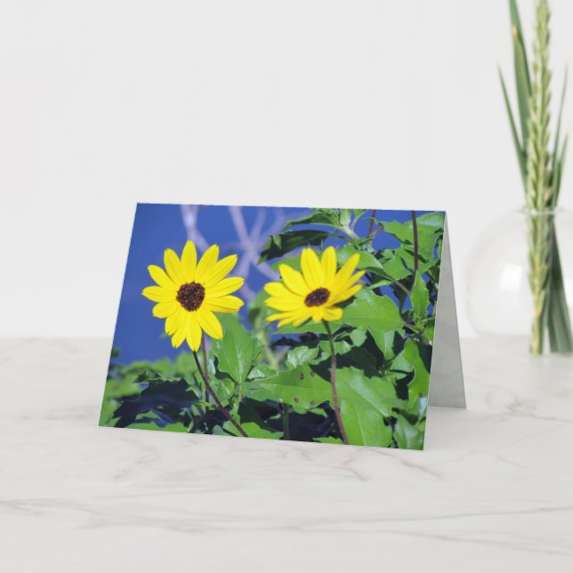 Black Eyed Susan Birthday Card (Front)