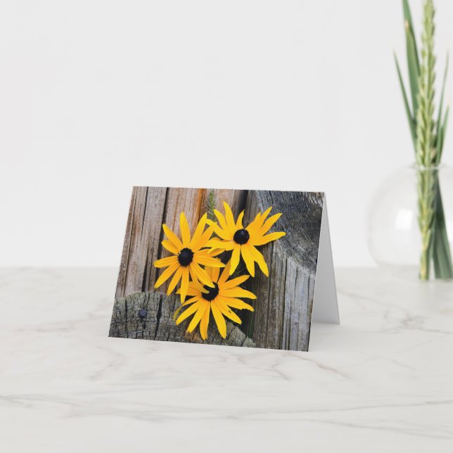 Black-eyed Susan Blank Note Card (Front)