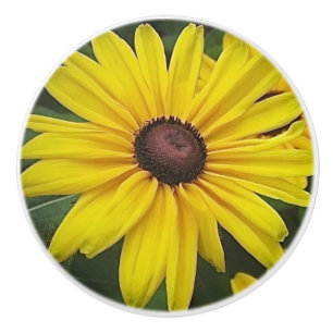 Black-eyed Susan Ceramic Knob
