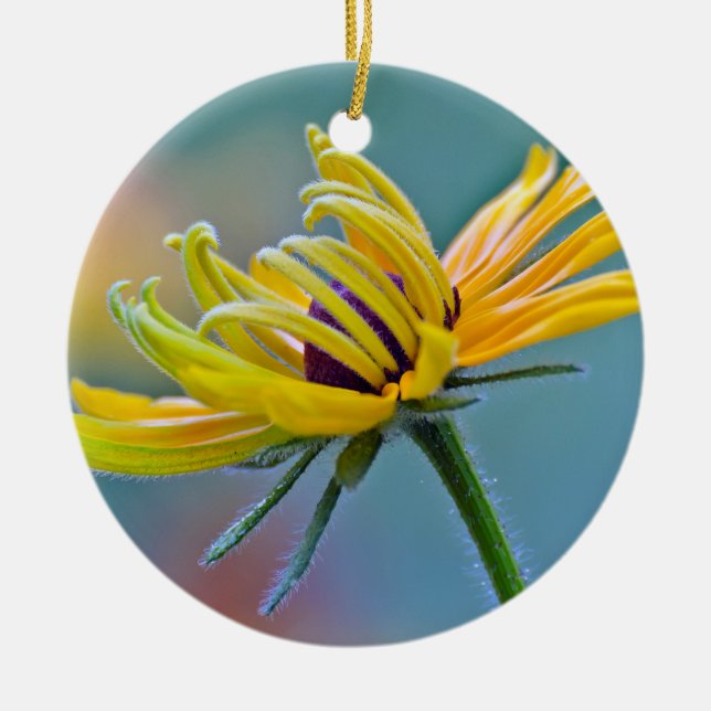 Black-eyed Susan Ceramic Tree Decoration (Front)