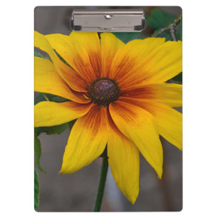 Black-Eyed Susan Clipboard