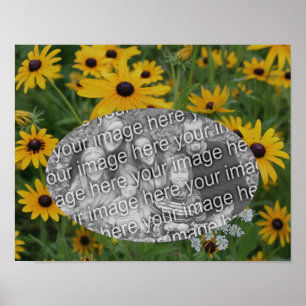 Black Eyed Susan Daisy Add Your Photo Frame  Poster