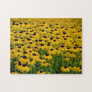 Black Eyed Susan - Floral Puzzle