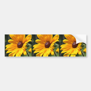 Black Eyed Susan Flower Bumper Sticker Car Art