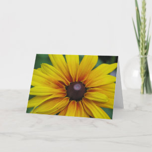 Black Eyed Susan Flower Greeting Card