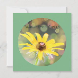 Black-Eyed Susan Flower on Dark Sea Green Holiday Card