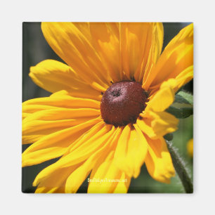 Black Eyed Susan Flower Photography Magnet