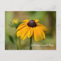 Black Eyed Susan Flower