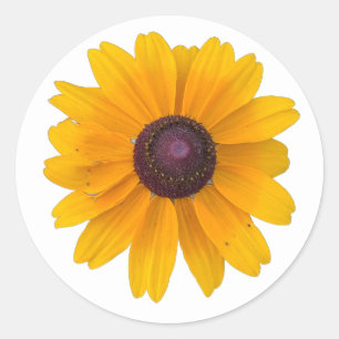 Black-eyed Susan Flower Sticker