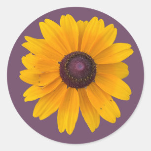 Black-eyed Susan Flower Sticker