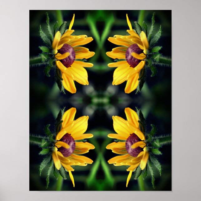 Black Eyed Susan Flower Unfolding Abstract     Poster (Front)