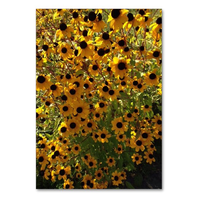 Black-eyed Susan Flowers Custom Reading Flashcards Table Number (Front)