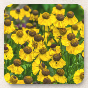 Black eyed Susan flowers hard plastic coasters