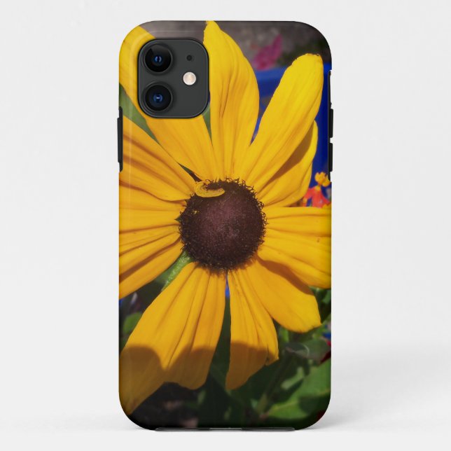 Black eyed-Susan front and centre Case-Mate iPhone Case (Back)