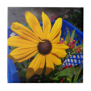 Black eyed-Susan front and centre Ceramic Tile