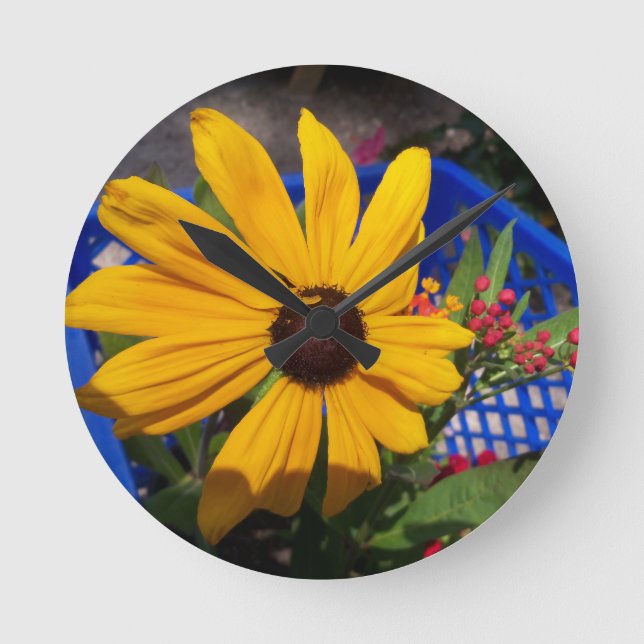Black eyed-Susan front and centre Round Clock (Front)