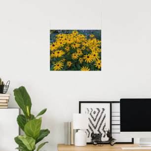 Black Eyed Susan Garden Floral Poster