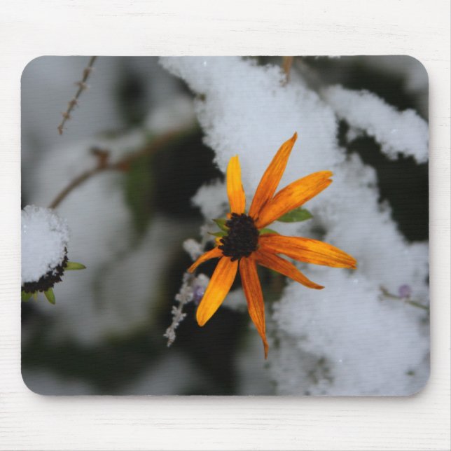 black eyed susan in the first snow mouse pad (Front)