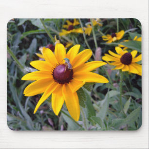 Black-Eyed Susan Mousepad
