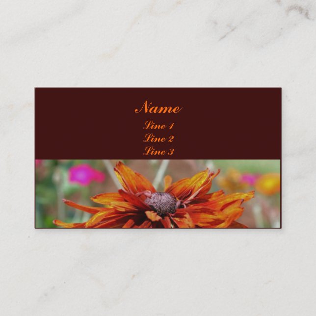 Black Eyed Susan Nature Photography Business Card (Front)
