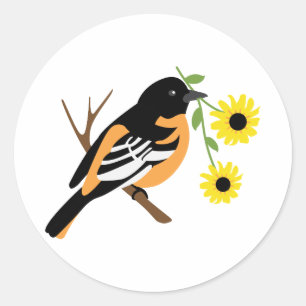 Black Eyed Susan Oriole Classic Round Sticker