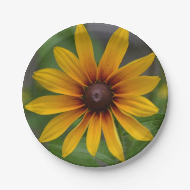 Black-eyed Susan Paper Plate (Front)