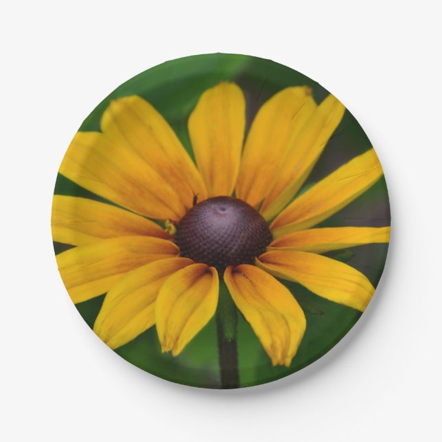 Black-eyed Susan Paper Plate (Front)