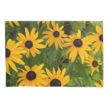 Black Eyed Susan