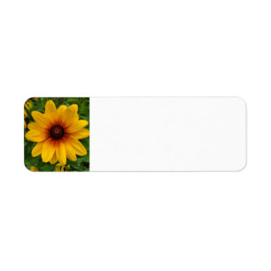 Black-eyed Susan Return Address Label