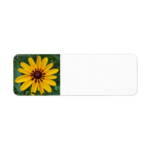 Black-eyed Susan Return Address Label