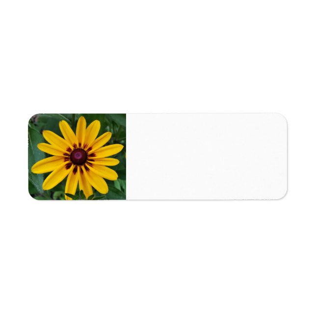 Black-eyed Susan Return Address Label (Front)