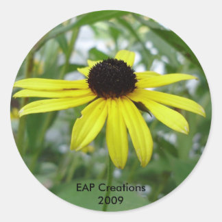 Black eyed susan sticker
