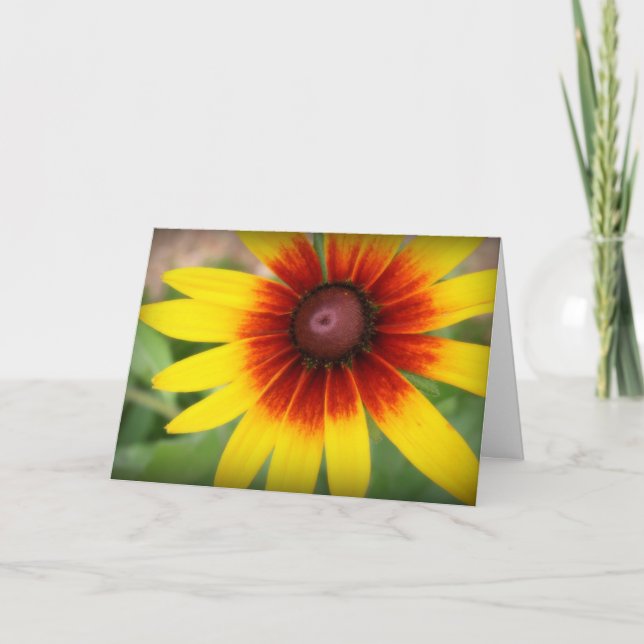 Black-eyed susan - Thank you! Thank You Card (Front)