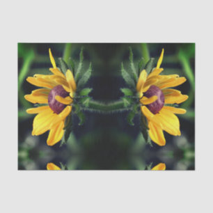 Black Eyed Susan Unfolding Abstract Decoupage Tissue Paper