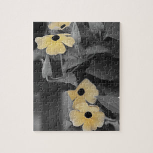black eyed susan vine puzzle