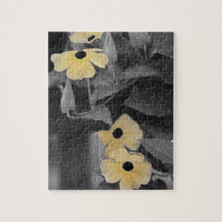 black eyed susan vine puzzle