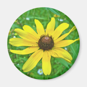 Black-Eyed Susan Wildflower Coordinating Items Magnet
