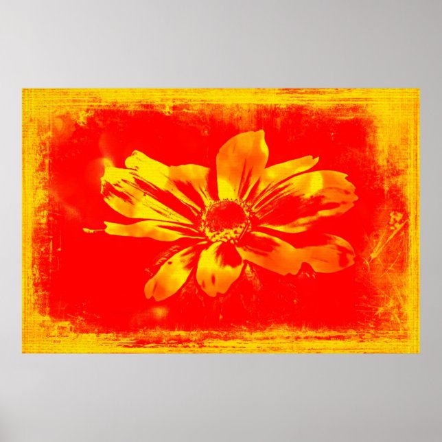 Black-Eyed Susan Wildflower - Digital Art Poster (Front)