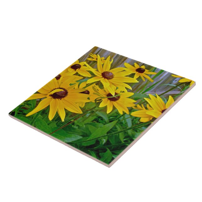 Black-Eyed Susan Wildflowers Ceramic Tile (Side)