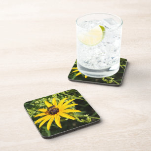 Black Eyed Susan with Wasp Coaster