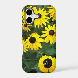 Black-eyed Susans