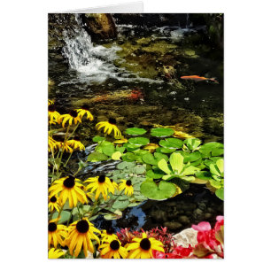 Black-Eyed Susans By Koi Pond