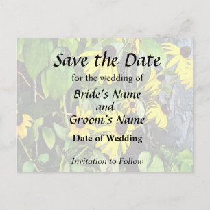 Black Eyed Susans By Stone Wall Announcement Postcard