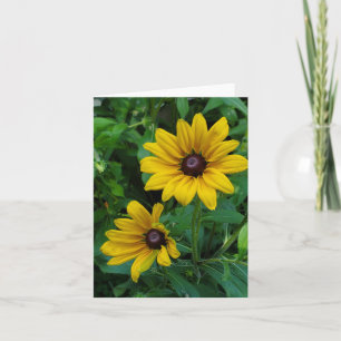 Black-Eyed Susans Card