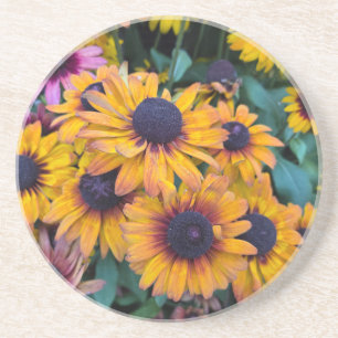 Black-Eyed Susans Coaster