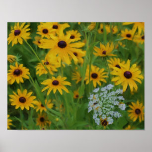 Black Eyed Susans Daisy Flower Art Poster