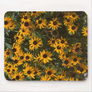 Black eyed Susan's Flowers, Floral, Photography Mouse Pad