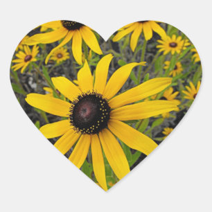 Black Eyed Susans Heart Sticker