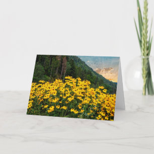 Black-eyed Susans in mountains Card